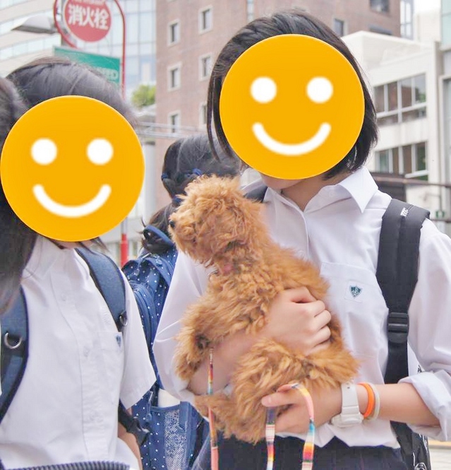 人馴れ.jpg