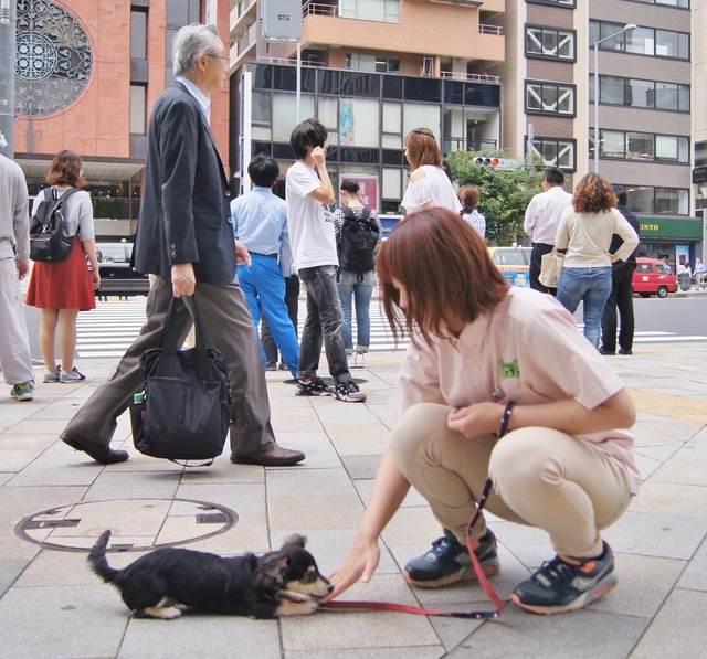 伏せ.jpg