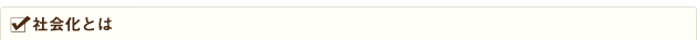 社会化とは
