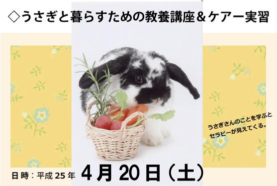 ウサギ編データ2.jpg
